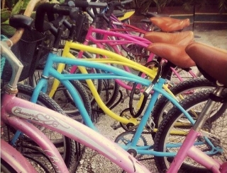 bicis de coloternera